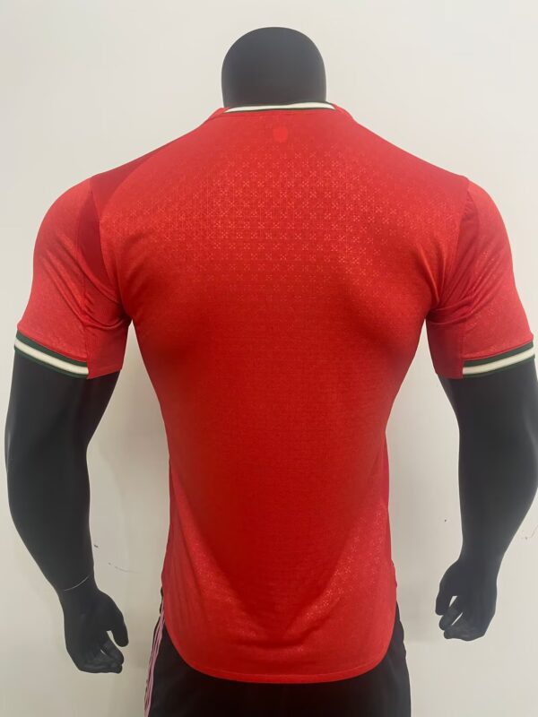 2025 Portugal home player version jersey - 图片 2